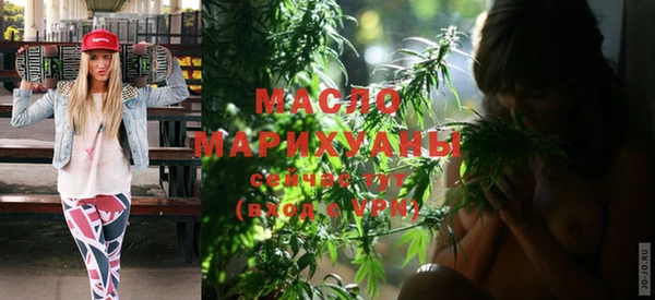 индика Сясьстрой